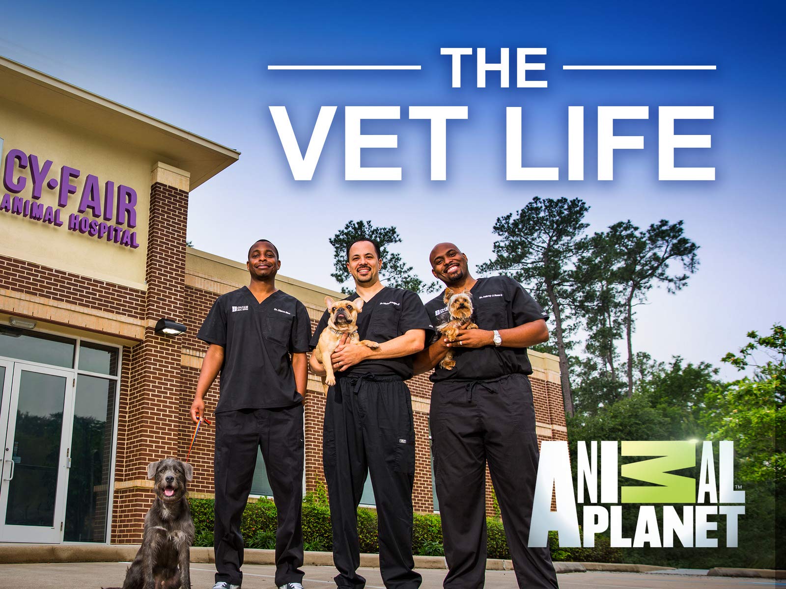 The Vet Life Season 7 Release Date