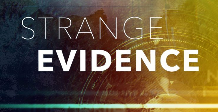 sevi-e1590603612869-740x380 Strange Evidence