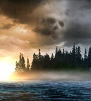 When Does The Curse of Oak Island Season 6 Start? History Release Date (Renewed)