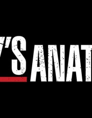 When Does Grey's Anatomy Season 15 Start? ABC TV Show Release Date