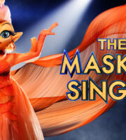 The Masked Singer
