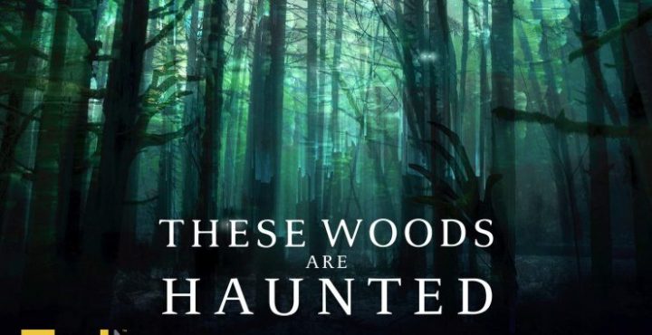 THESE WOODS ARE HAUNTED