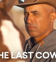 The Last Cowboy