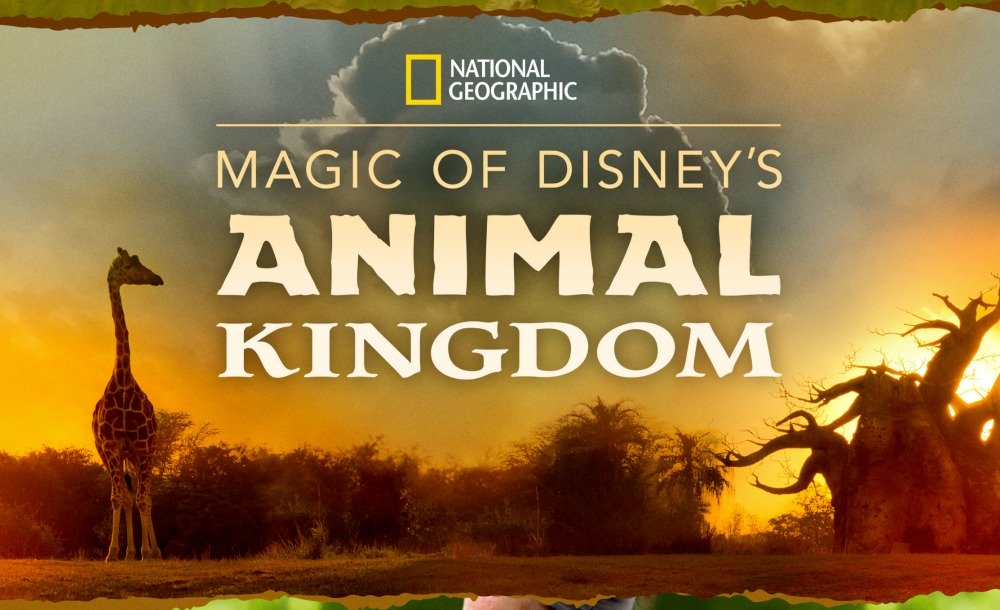 modak Magic of Disney's Animal Kingdom
