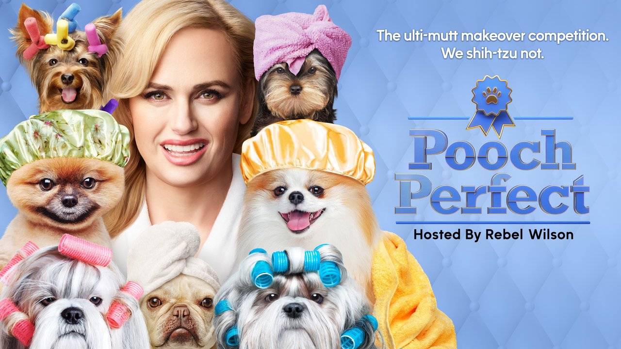 Pooch Perfect Season 2 Cancelled