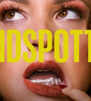 Blindspotting Premiere Dates