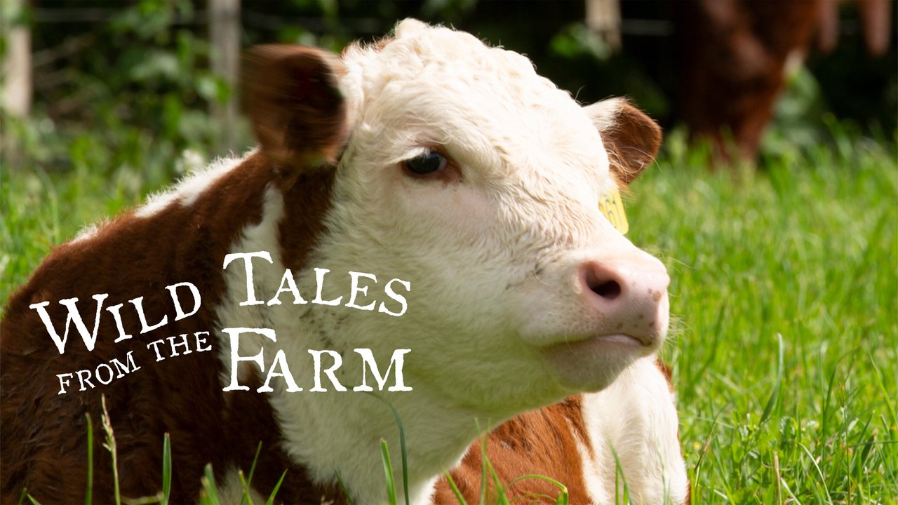 Wild Tales From The Farm Wild Tales From the Farm