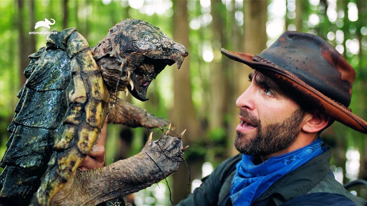 Coyote Peterson's Wild Field Trip