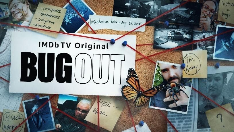 Bout Out Release Date 2022 IMDb TV
