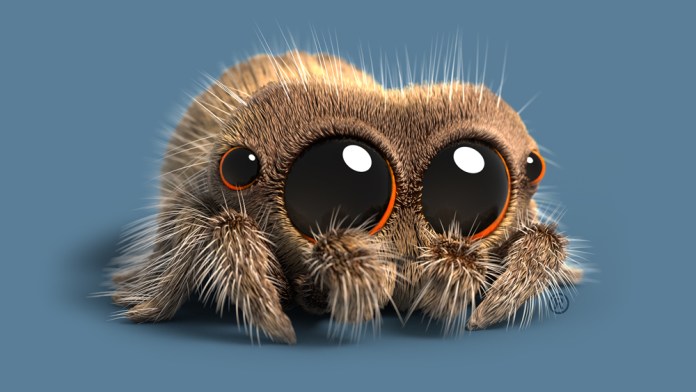Lucas the Spider