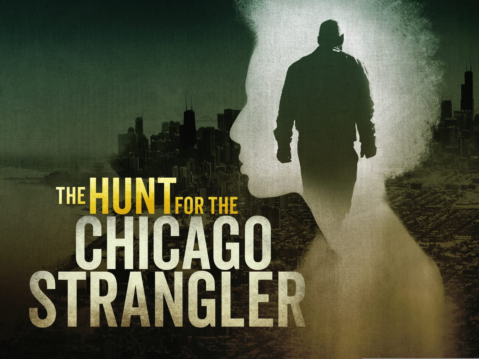 thftcs The Hunt For The Chicago Strangler