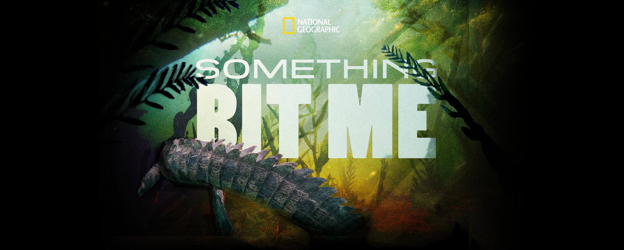 Something Bit Me!