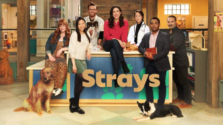 STRAYS2343 Strays