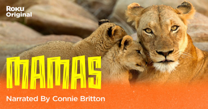 mamas Mamas
