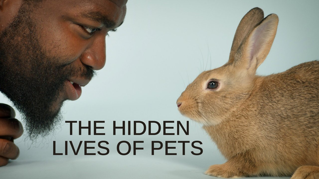 thlop The Hidden Lives of Pets