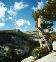 America's National Parks