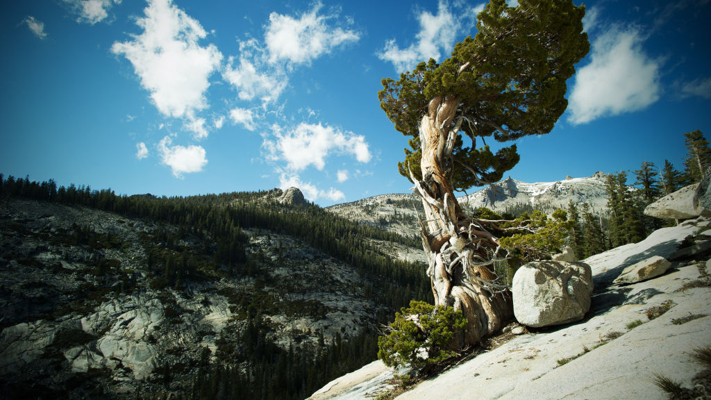 America's National Parks