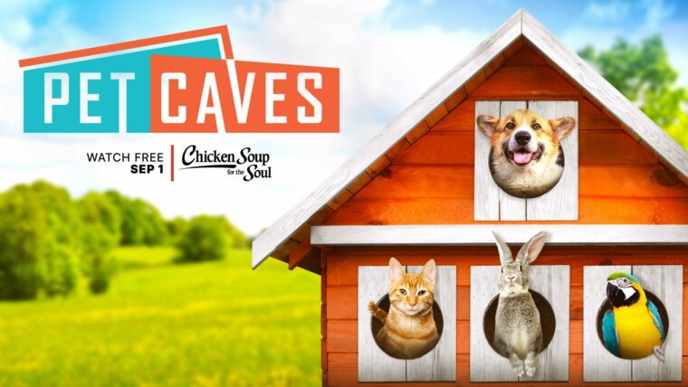 pcaves Pet Caves