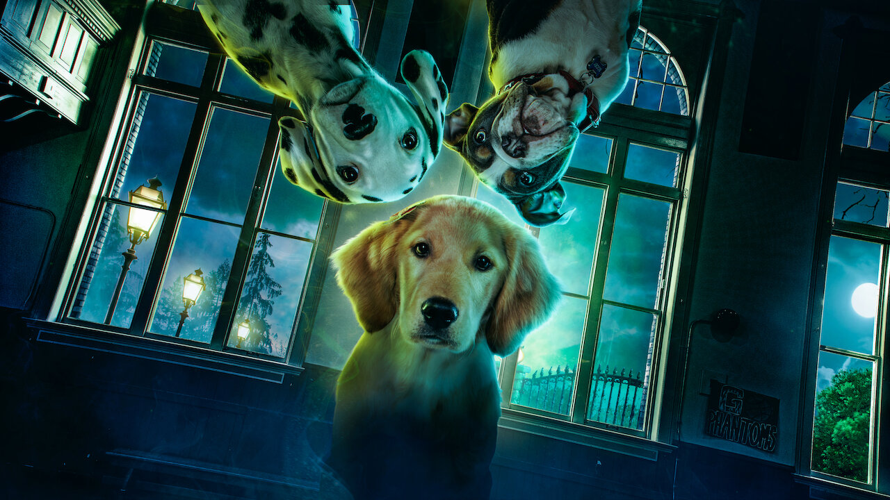 pp1111 Phantom Pups
