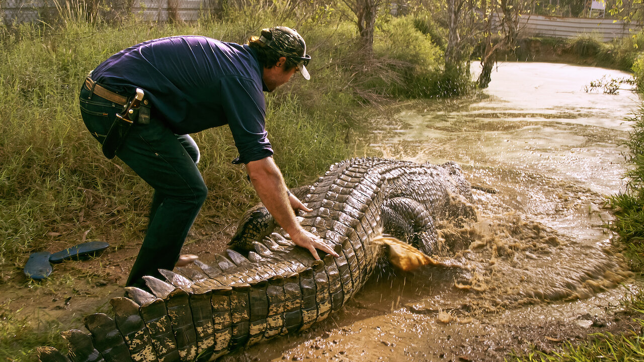 wct0 Wild Croc Territory