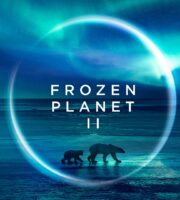 Frozen Planet II