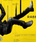 Rabbit Hole