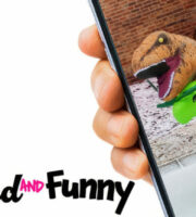 Totally Weird and Funny