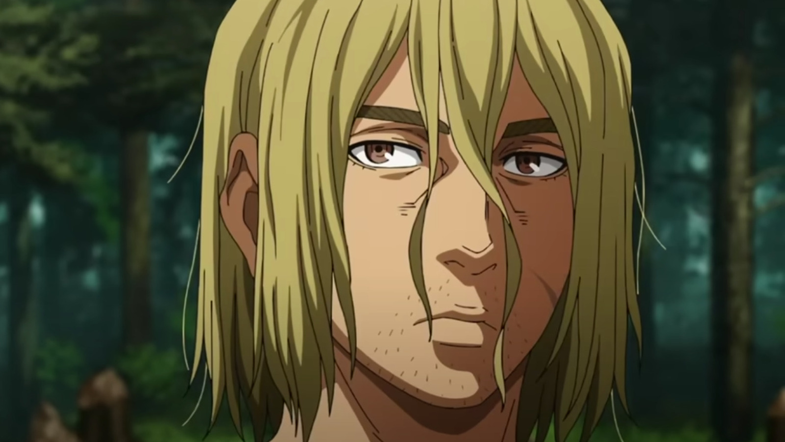 Vinland Saga