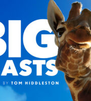 Big Beasts