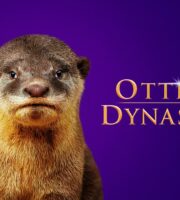 Otter Dynasty Premiere Dates