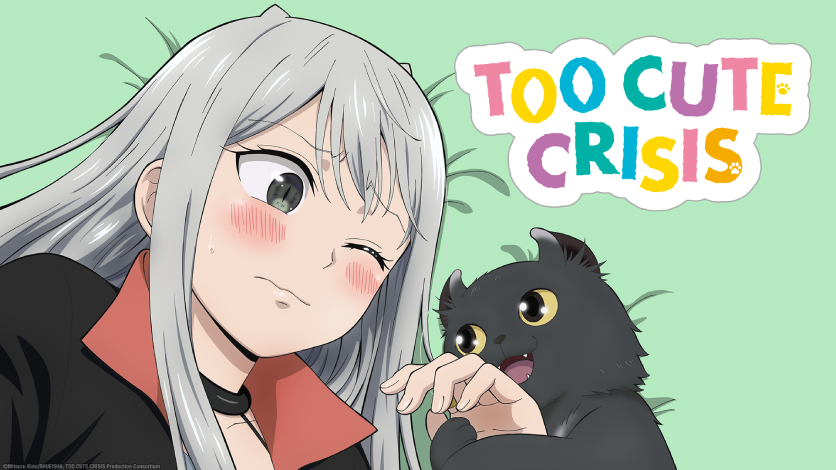 Too Cute Crisis