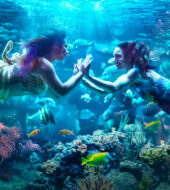 MerPeople