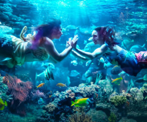 MerPeople