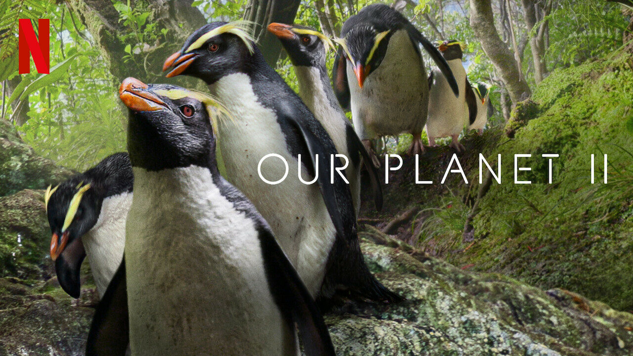Our Planet II
