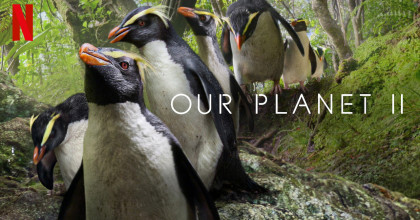 Our Planet II