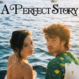 A Perfect Story