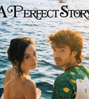A Perfect Story