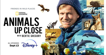 Animals Up Close with Bertie Gregory