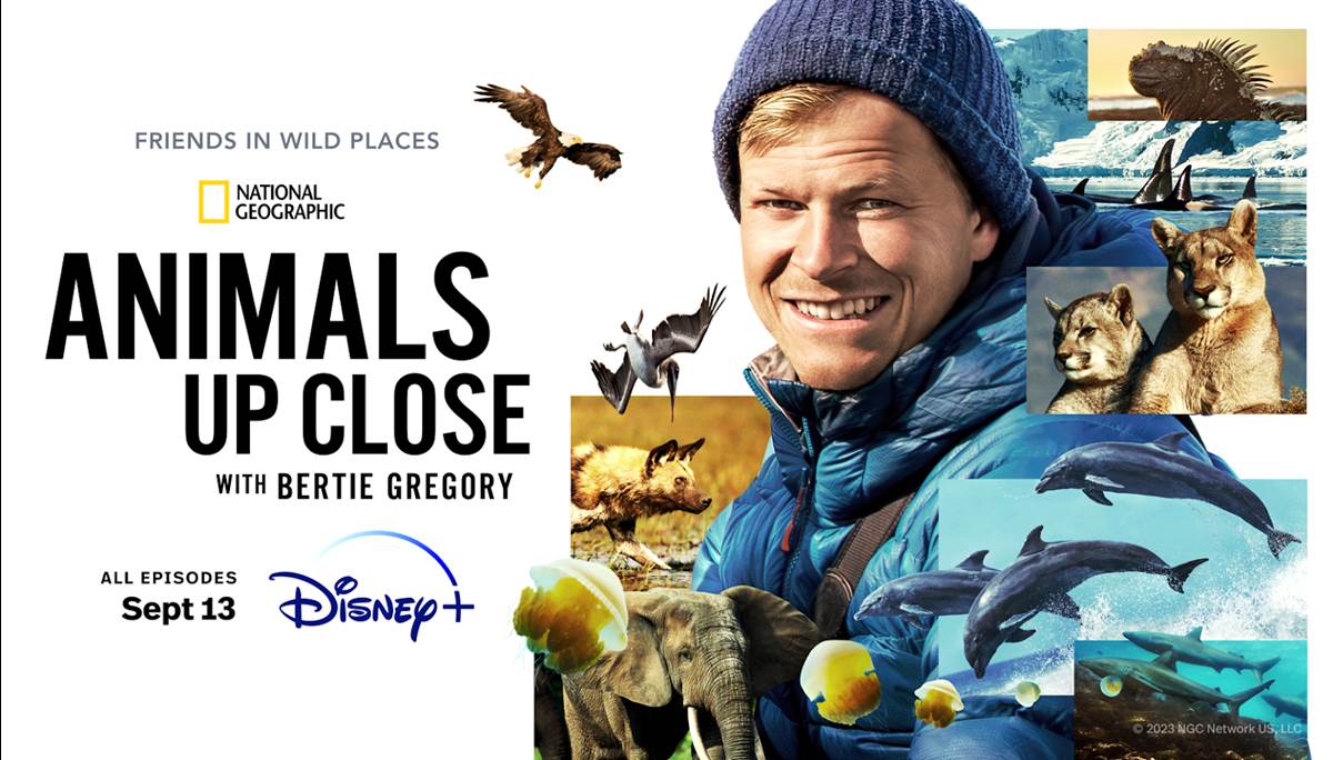 Animals Up Close with Bertie Gregory