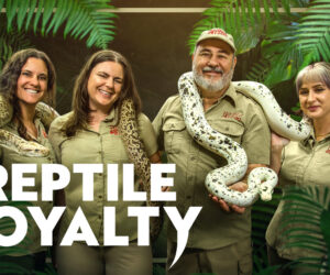 Reptile Royalty