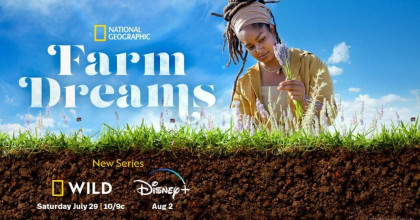 Farm Dreams