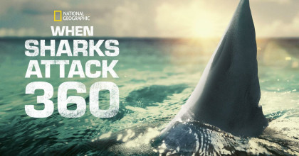 When Sharks Attack 360