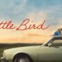 Little Bird