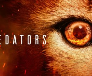 Predators