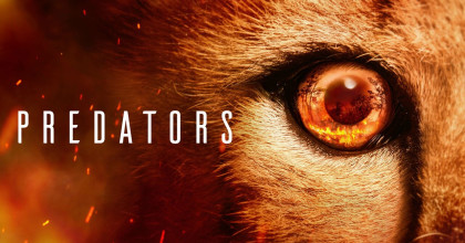 Predators