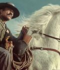 Lawmen: Bass Reeves