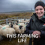 This Farming Life