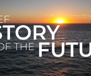 A Brief History of the Future