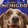 The Secret Life of Dancing Dogs