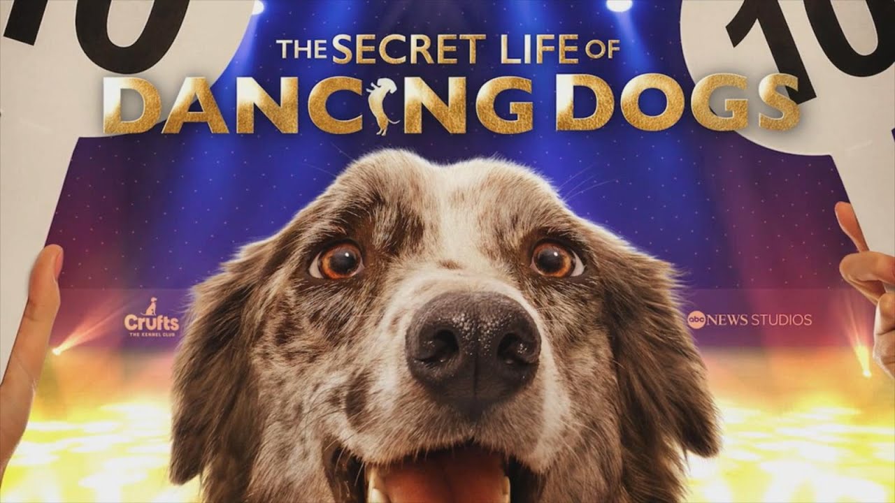 The Secret Life of Dancing Dogs